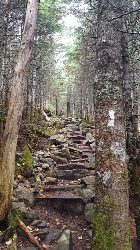 Beginner’s Guide to hiking in the Moosehead Lake Region | Lake, Region ...