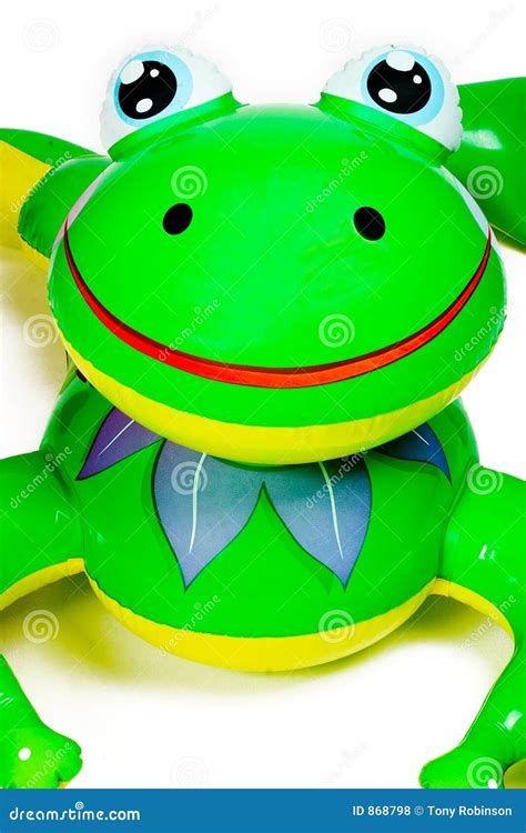 Inflatable Frog Pool Toy Stock Photo Image Of Lifesaver 868798