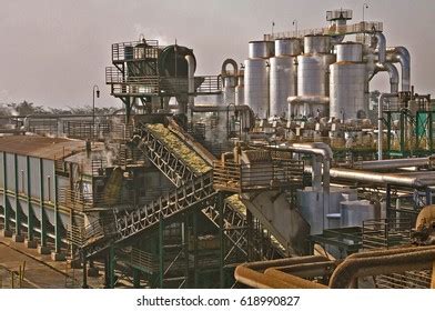 Sugarcane Plant Ethanol Production Stock Photo Shutterstock