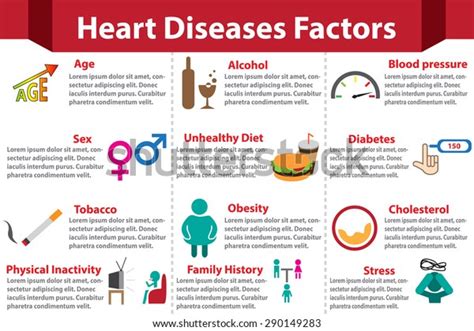 Heart Disease Factors Infographics With Colorful Color For For Medical