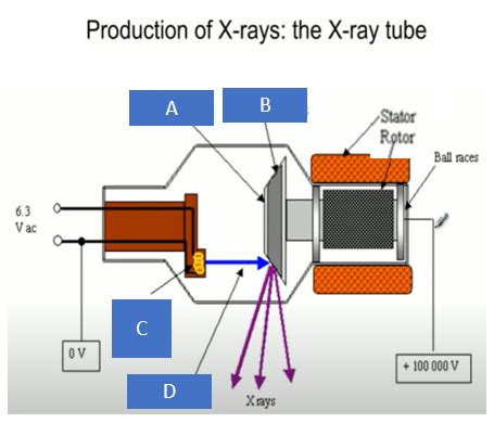 X Ray Imaging Diagram Quizlet