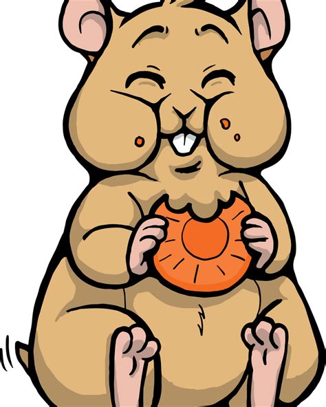 Download Hamster Transparent Png Download Seekpng