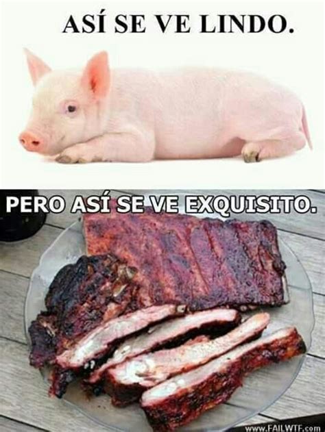 Pero K Delicioso Meme Subido Por Bastiloqo Memedroid