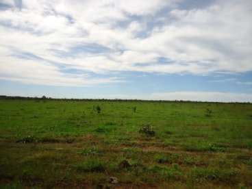 Fazenda Ha Aberta Pra Soja Canarana Mt R Agroads