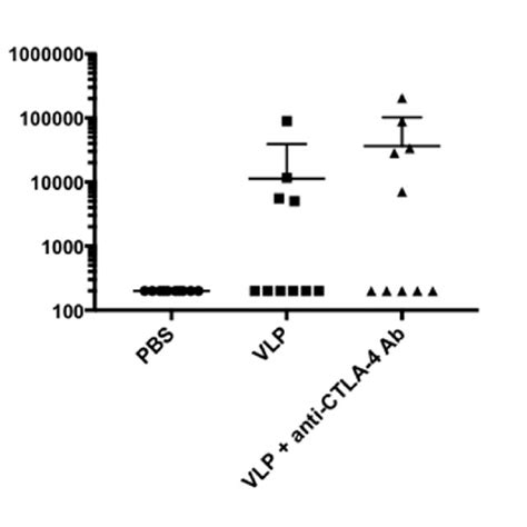 Ctla 4 Blockade Increases Antibody Dependent Cellular Cytotoxicity