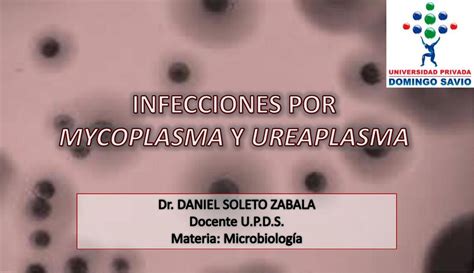 MYCOPLASMA Y UREAPLASMA Guilherme UDocz