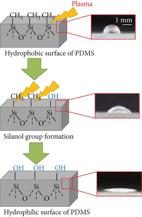 Effects Of Plasma Treatment Of Pdms Surfaces A Schematic Download Scientific Diagram