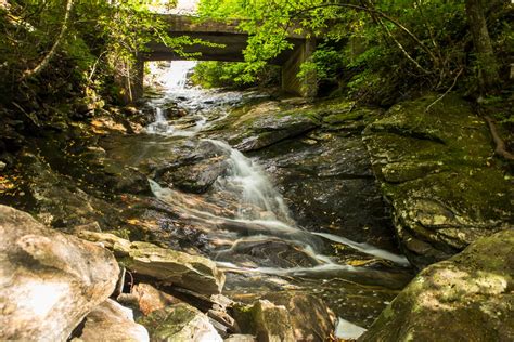 Top 18 Pisgah National Forest Hiking Trails