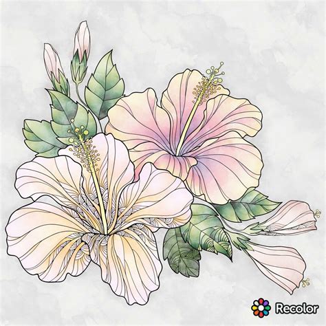 Hibiscus Flower Drawing Tutorial