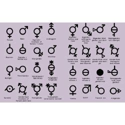 What is your Gender Identity? - Quiz | Quotev