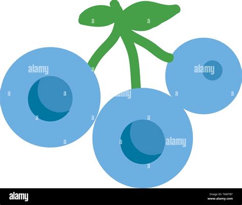 Blueberries Forest Fruit Stock Vector Image And Art Alamy