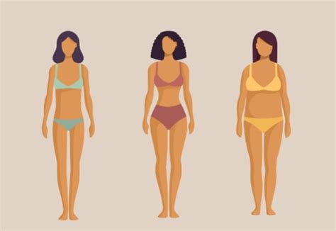 Ectomorfo Mesomorfo ou Endormorfo Descubra qual é o seu tipo de body