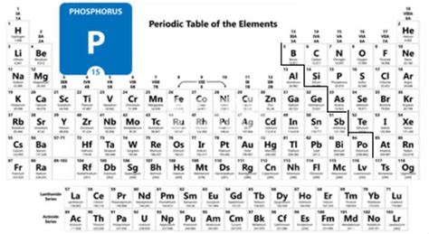 Science Exam First Quarter Flashcards Quizlet