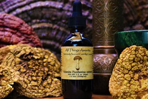 Amanita Pantherina Tincture 2 Oz All Things Amanita