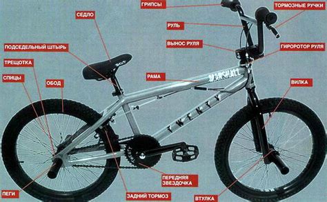 BMX велосипеды - что это такое?