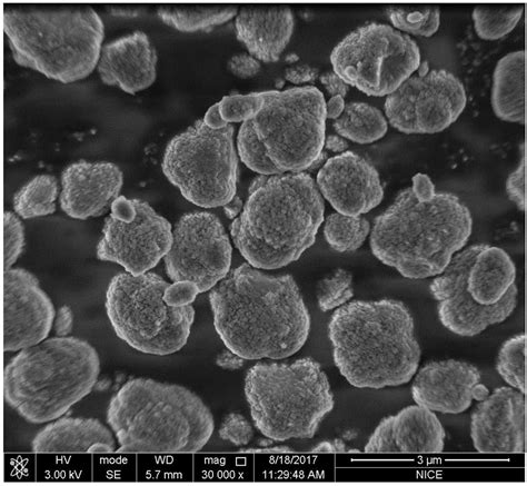 Zsm 5分子筛及其制备方法和氢型zsm 5分子筛及其应用以及甲醇转化的方法与流程