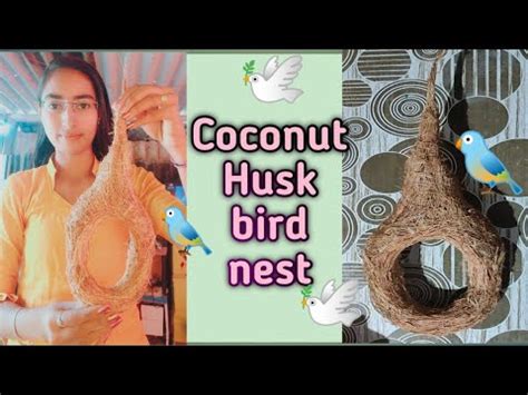 Bird Nest Coconut Husk Bird Nest How To Use Coconut Husk Bird Nest