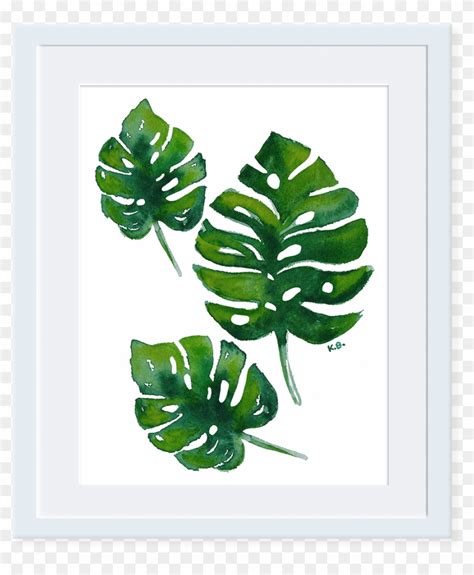 Detail Monstera Deliciosa Png Koleksi Nomer