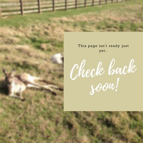 page-check-back-soon – Animalogy/NHECM