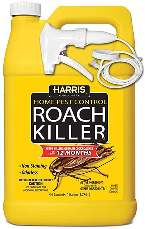 Best Roach Killer Product Review Workshopedia