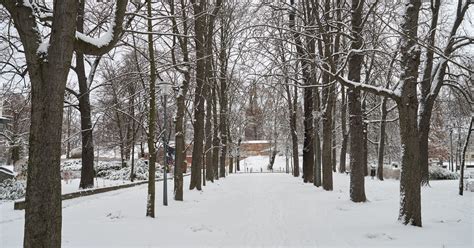 Od rana Wrocław jest biały W mieście trwa akcja zima pługosyparki na