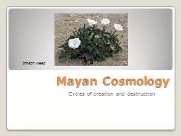 Mayan Cosmology