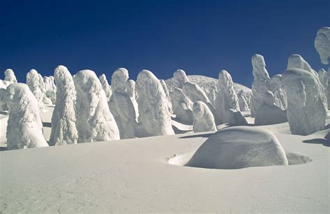 In Pics: What Are These Snow Monsters Or Juhyos Of Japan?