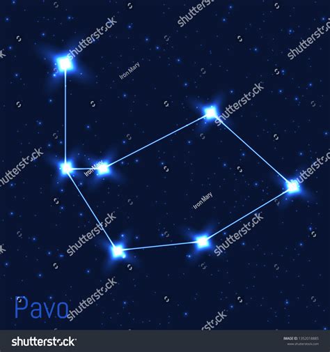 Vector Illustration Pavo Constellation Astronomical Peacock Stok Vekt R