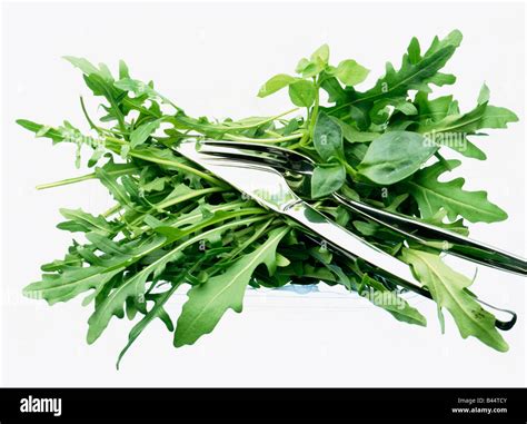 rocket and herbs Stock Photo - Alamy