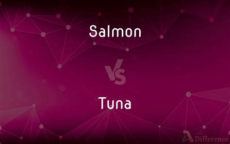 Salmon Vs Tuna — Whats The Difference