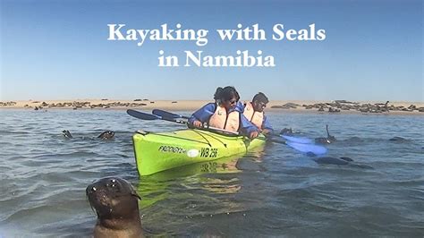 Kayaking With Seals In Namibia Youtube