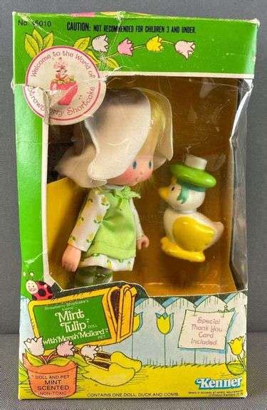 Kenner Strawberry Shortcake Mint Tulip Doll With Marsh Mallard Pet