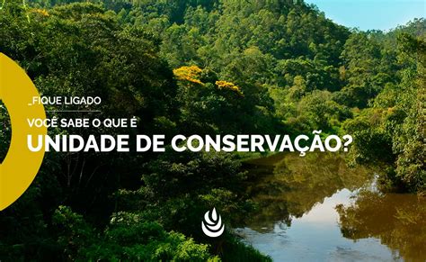 Unidades De Conserva O No Brasil Protegendo A Natureza E O Futuro Leve