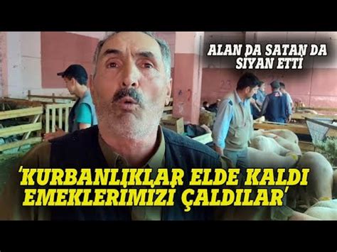 Kurbanliklar Elde Kald Alan Ve Satan Isyan Etti Sokak R Portaj