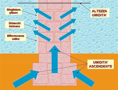 Come Eliminare L Umidit Di Risalita Dalle Pareti