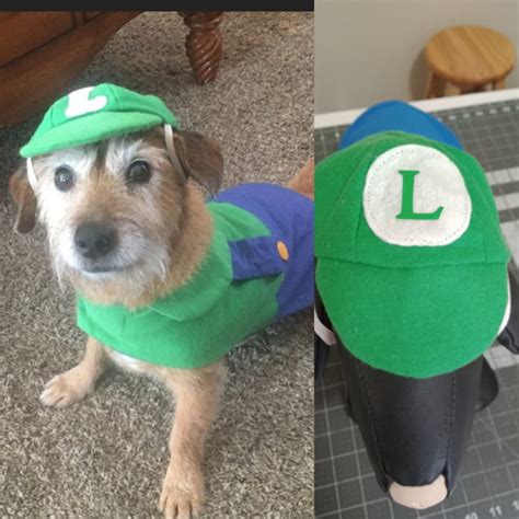 Luigi Dog Costume, Mario Kart Costume, Halloween Dog Costume, Costume ...