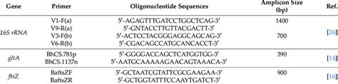 Oligonucleotides Sequences Target Genes And Amplicon Size Bp Used In