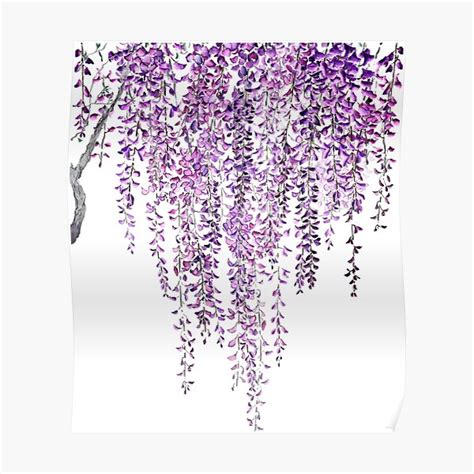 Purple Wisteria In Bloom Poster For Sale By Colorandcolor Redbubble