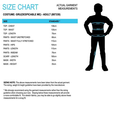 adult gru outfit 5