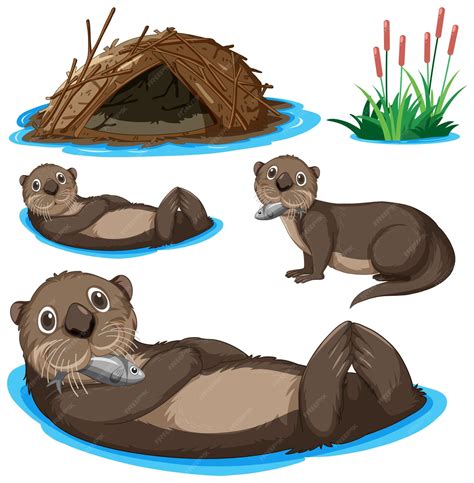 Premium Vector | Set of otter cartoon character