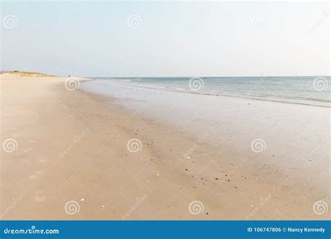 Plum Island, MA stock photo. Image of beach, space, wildlife - 106747806