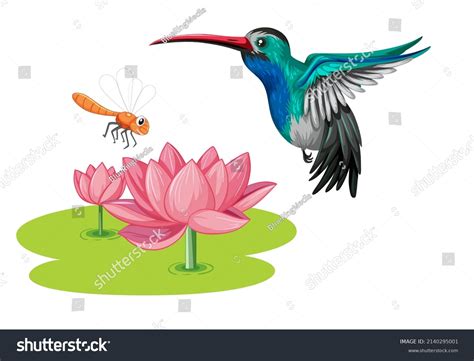 Hummingbird Lotus Flower Cartoon Style Illustration Stock Vector