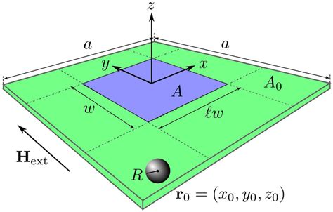 Sensor and functionalized area. Illustration of the sensor area A = ℓw ...