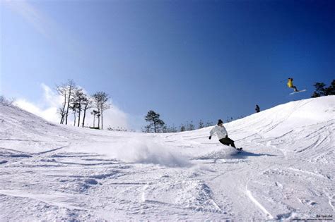 Korea Ski Tour Daemyung Vivaldi Park One Day Trazy Your Travel