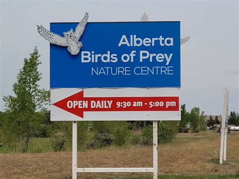 ALBERTA BIRDS OF PREY VISITOR'S CENTRE - All You MUST Know Before You