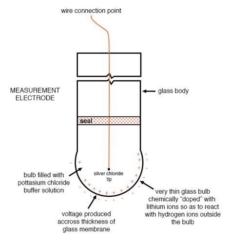 Reference Electrode Diagram