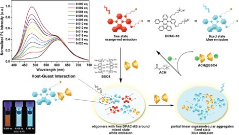 The Schematic Diagram Of The Supramolecular Self‐assembly System Based