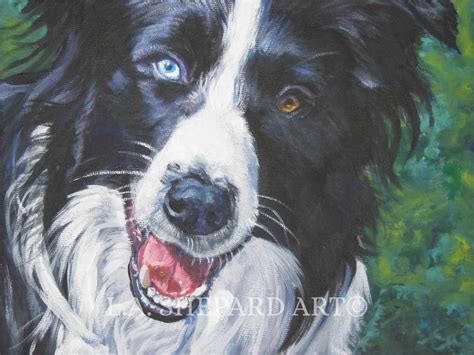 Border Collie Dog Art Portrait Canvas Print Of Lashepard Etsy