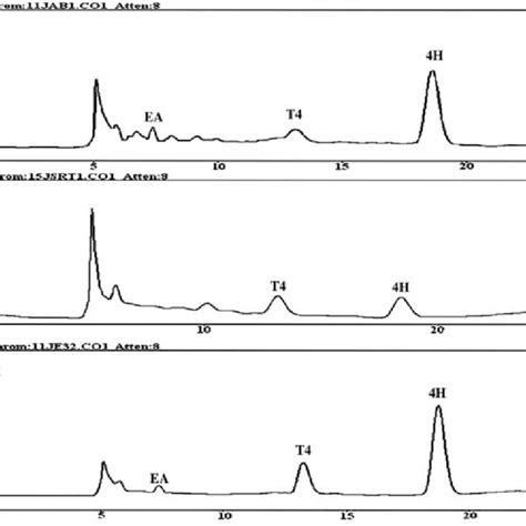 Hplc Chromatogram Methanolic Extract Of A Baccifera Leaf A