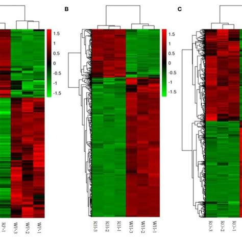 Cluster Thermogram Of Differential Metabolites A Pituitaries B